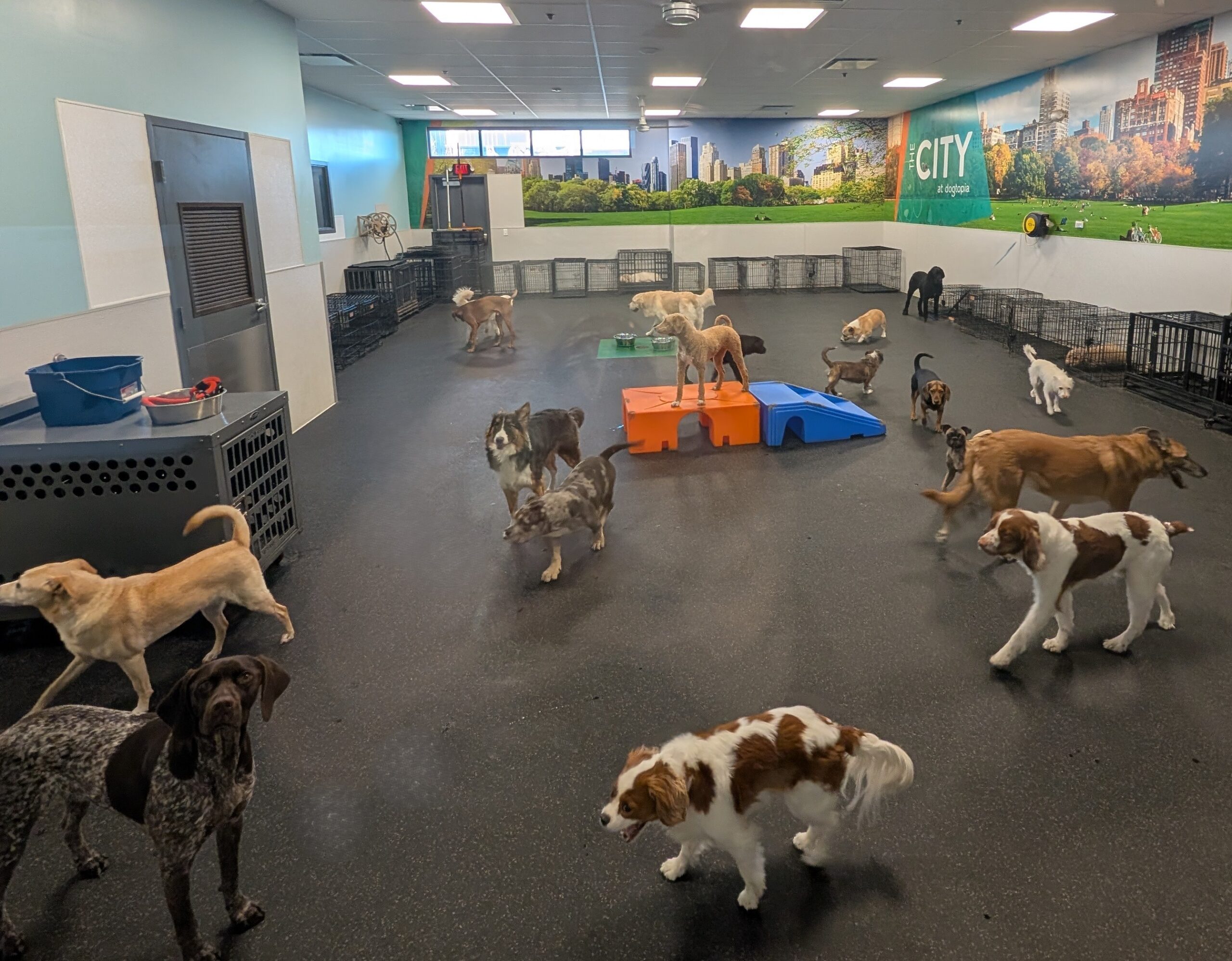 Boise-Greenbelt Playroom