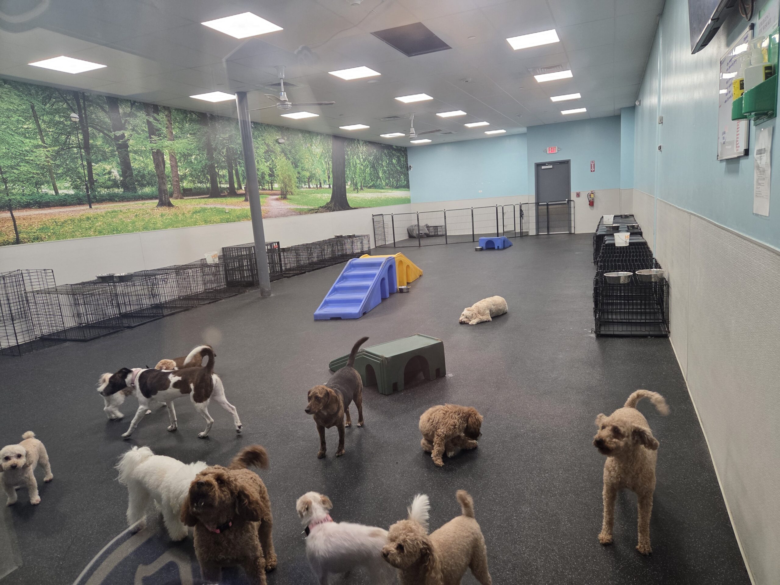 GCP Playroom