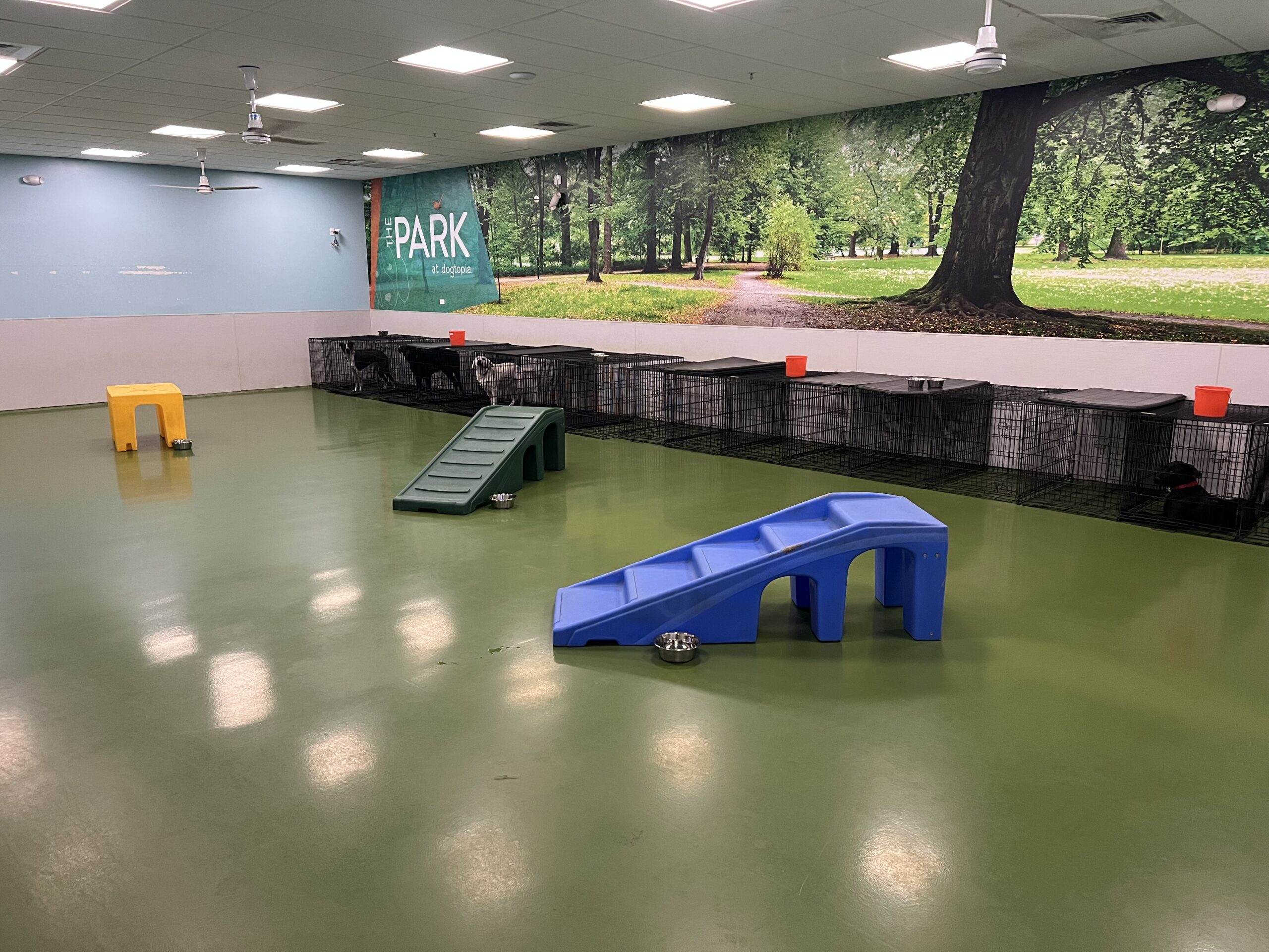 Norwell Park Playroom