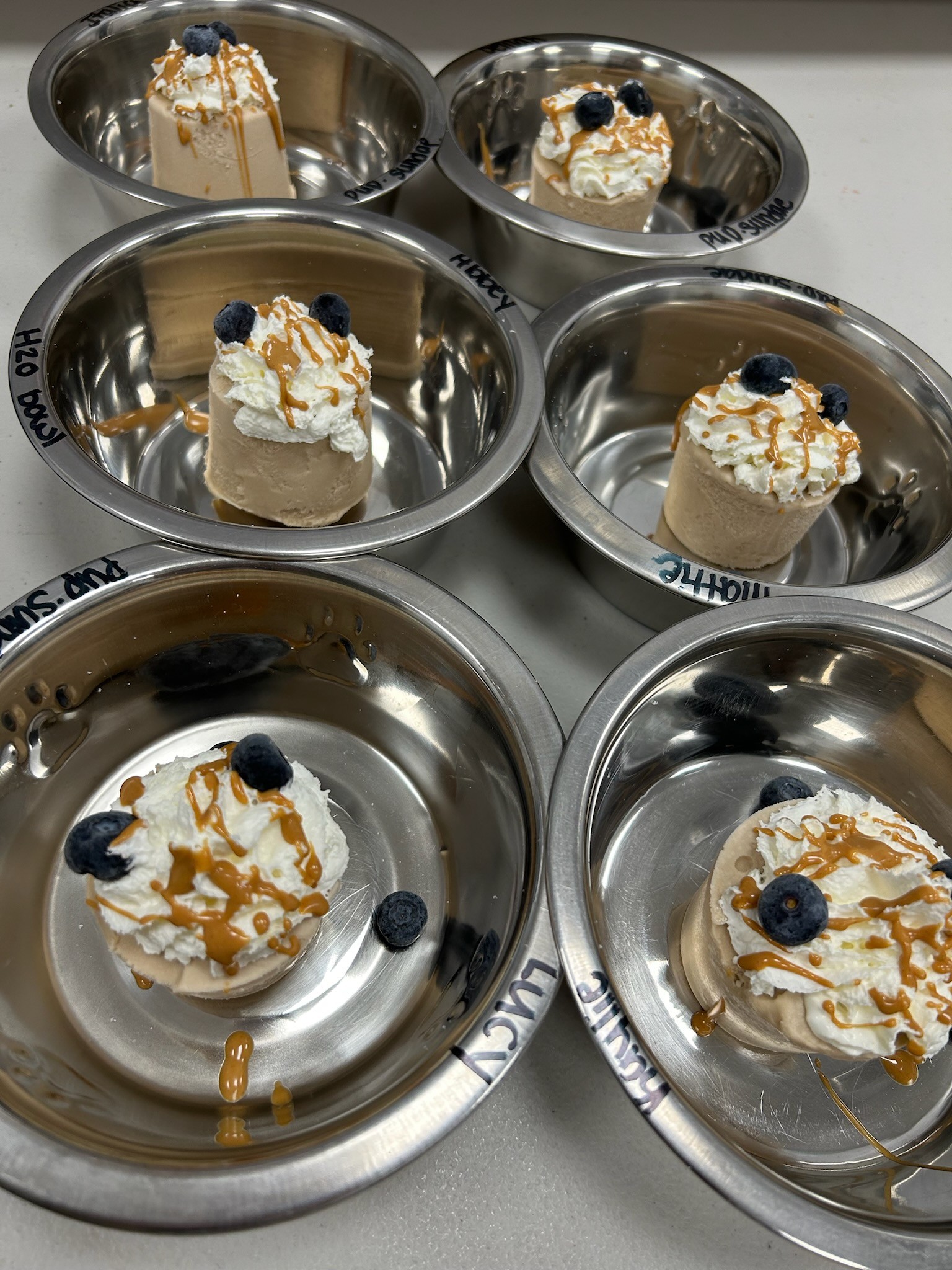 Pup Sundaes - Upland