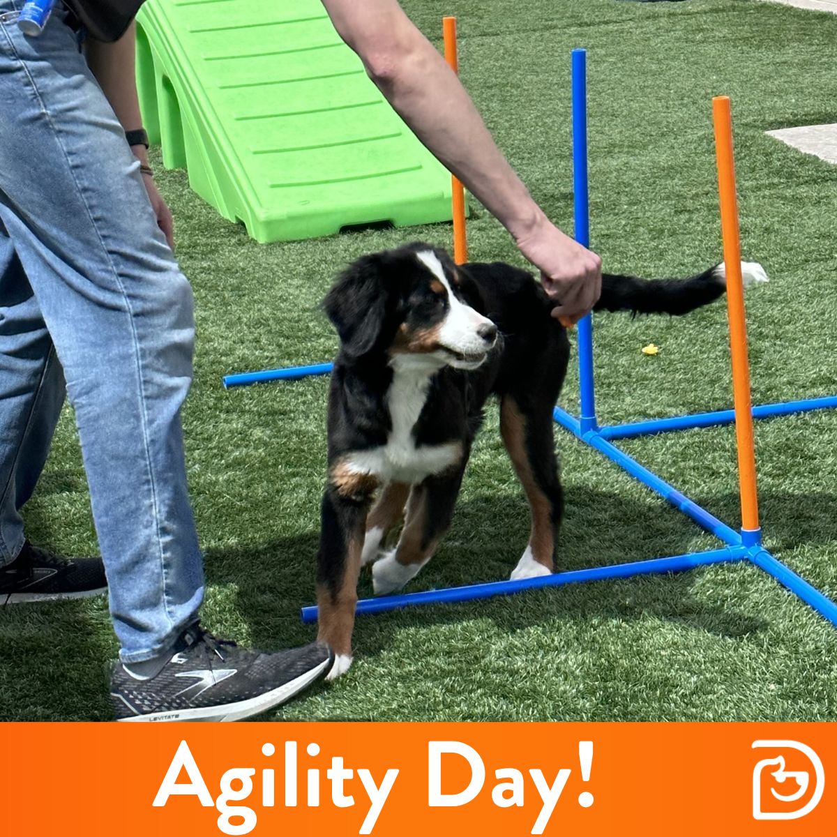 Agility Day! South Tulsa