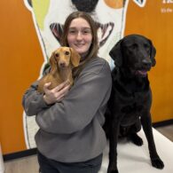 Dogtopia, staff member, general manager.