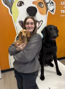 Dogtopia, staff member, general manager.