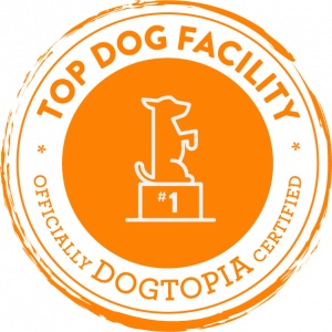 Top Dog Seal for Dogotpia of Rock Hill