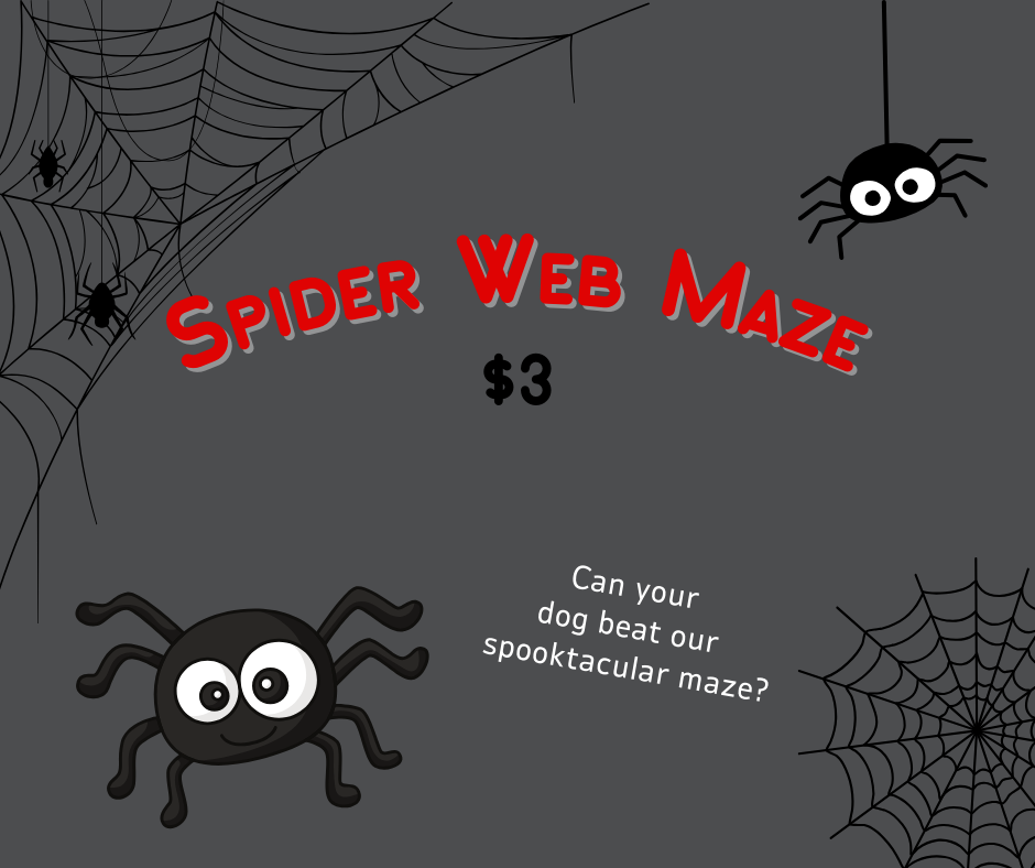 Spider Web Maze - Houston - W. Alabama Street