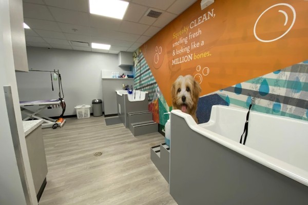 Dog baths at Dogtopia of Houston - W. Alabama Street