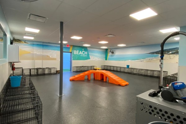 Toy Box playroom