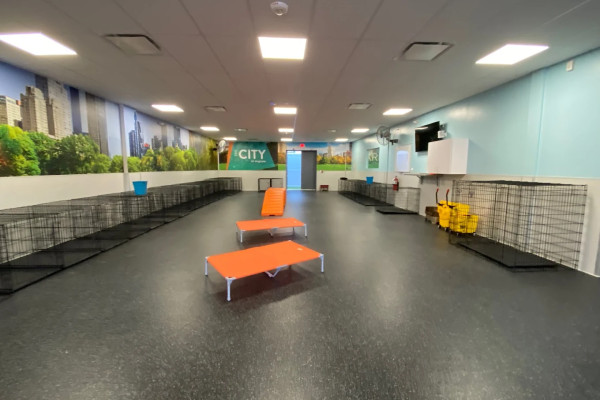 The Gym playroom