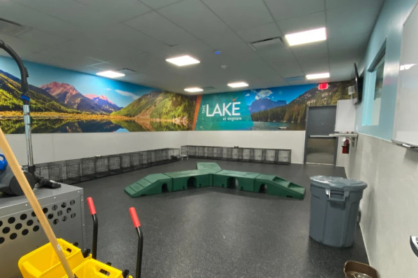 Dogtopia of Houston - W. Alabama Street indoor playroom