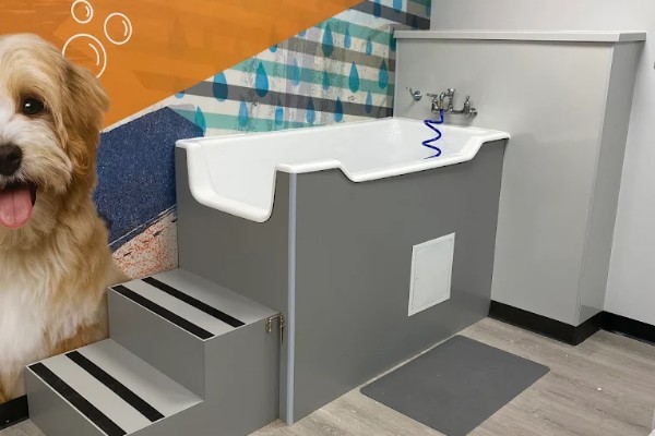 Dog baths at Dogtopia of Houston - W. Alabama Street
