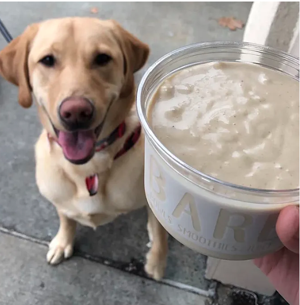 Bare Blends Day Latham