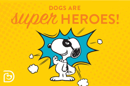 Dogtopia of Towson celebrates National Super Hero Day
