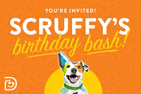 Dogtopia of Towson celebrates Scruffy's birthday
