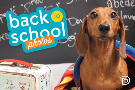 Dogtopia of Towson Back to School Photos