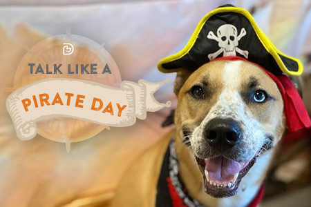 Dogtopia of Towson Celebrates National Talk Like a Pirate Day