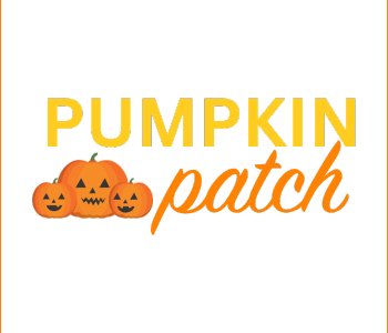 Dogtopia of Towson hosts pumpkin patch for daycare and boarding dogs