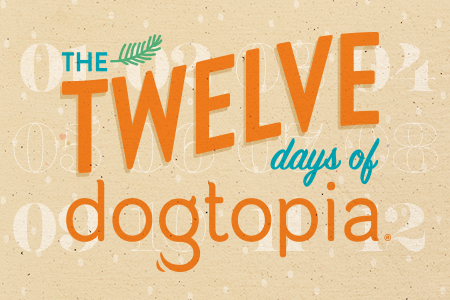 Dogtopia of Towson dog daycare and boarding celebrates the 12 Days of Christmas