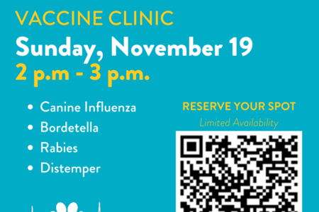 Dogtopia of Towson dog vaccine clinic