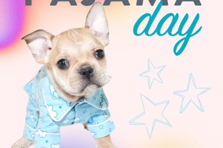 Dogtopia of Towson celebrates Pajama Day