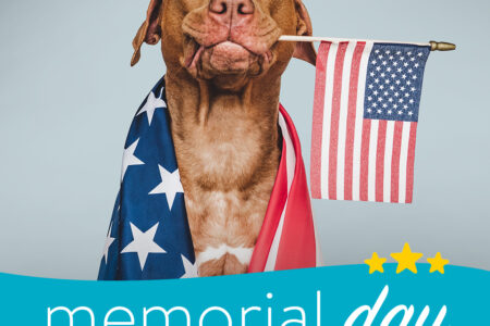 Dogtopia of Towson celebrates Memorial Day