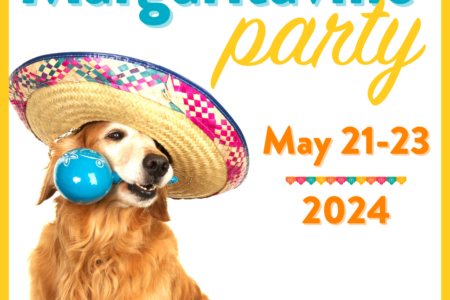 Dogtopia of Towson Margaritaville Party