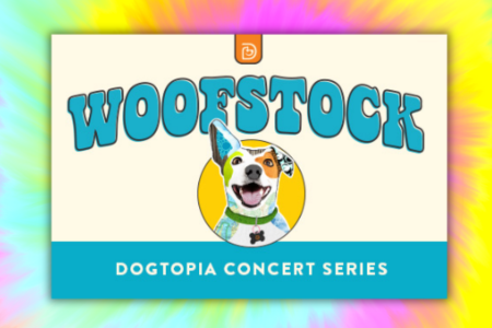 Dogtopia of Towson Tie Dye Woofstock