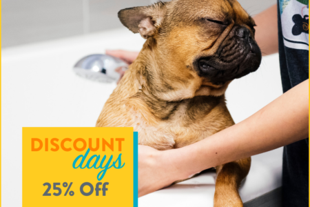 Dogtopia of Towson offers 25% off full service spa on Saturday June 8
