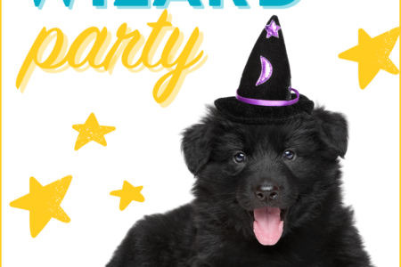 Dogtopia of Towson holds a wizard themed dog party