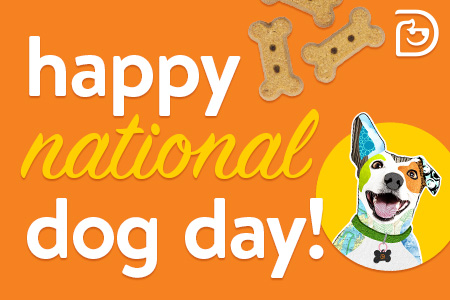 Dogtopia of Towson celebrates National Dog day