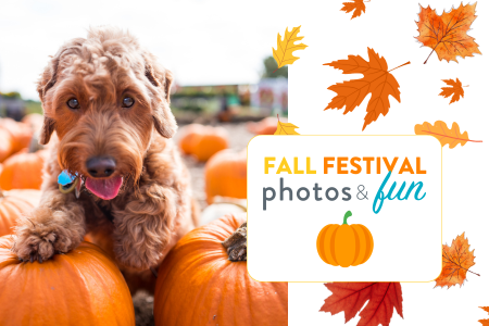 Dogtopia of Towson Fall Festival