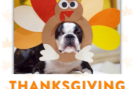 Dogtopia of Towson offers Thanksgiving crafts to dog owners in Towson, MD