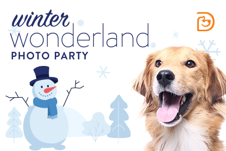 Dogtopia of Towson hosts Christmas photoshoot