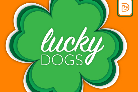 Dogtopia of Towson celebrates St. Patrick's Day