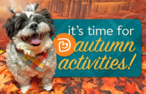 Dogtopia of Towson celebrates first day of fall with party for daycare and boarding pups