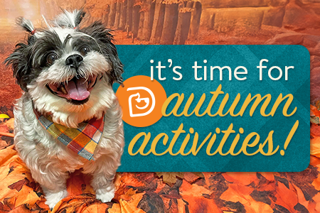 Dogtopia of Towson celebrates first day of fall with party for daycare and boarding pups