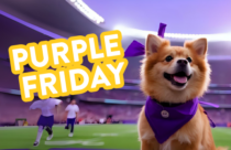 Dogtopia of Towson hosts purple friday event for daycare and boarding dogs