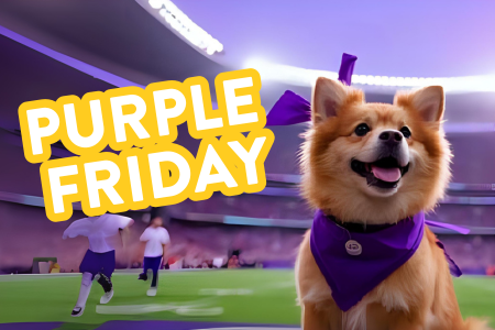 Dogtopia of Towson hosts purple friday event for daycare and boarding dogs