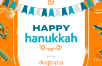 Dogtopia of Towson celebrates Hanukkah