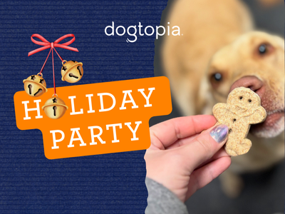 Dogtopia of Towson hosts christmas photo shoot for dog parents