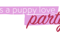 Dogtopia of Towson Valentine's Celebration