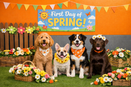 Dogtopia of Towson hosts spring fling event