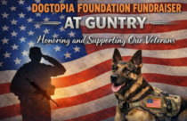 Dogtopia Foundation Fundraiser at Guntry