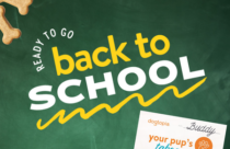 Dogtopia of Towson hosts back to school event for dog daycare and boarding pups