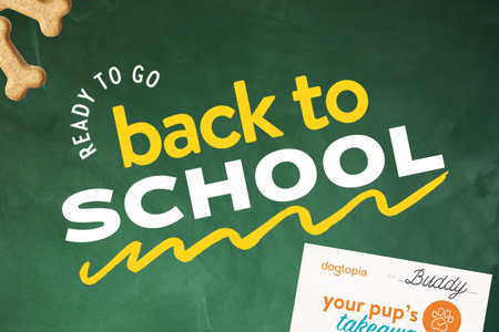 Dogtopia of Towson hosts back to school event for dog daycare and boarding pups