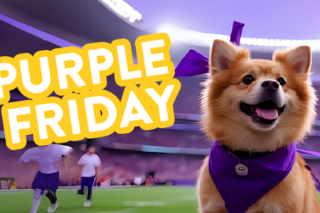 Dogotopia of Towson hosts Purple Friday event
