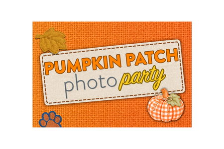 Dogtopia of towson hosts pumpkin patch photo party