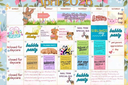 Dog daycare event calendar at Dogtopia of Woodmen Rd in Colorado Springs featuring themed activities, spa specials, and enrichment days for dogs