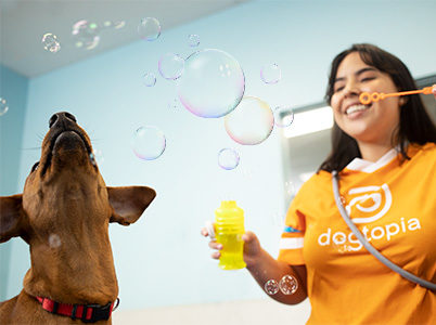 canine coach blows bubbles and plays with dog