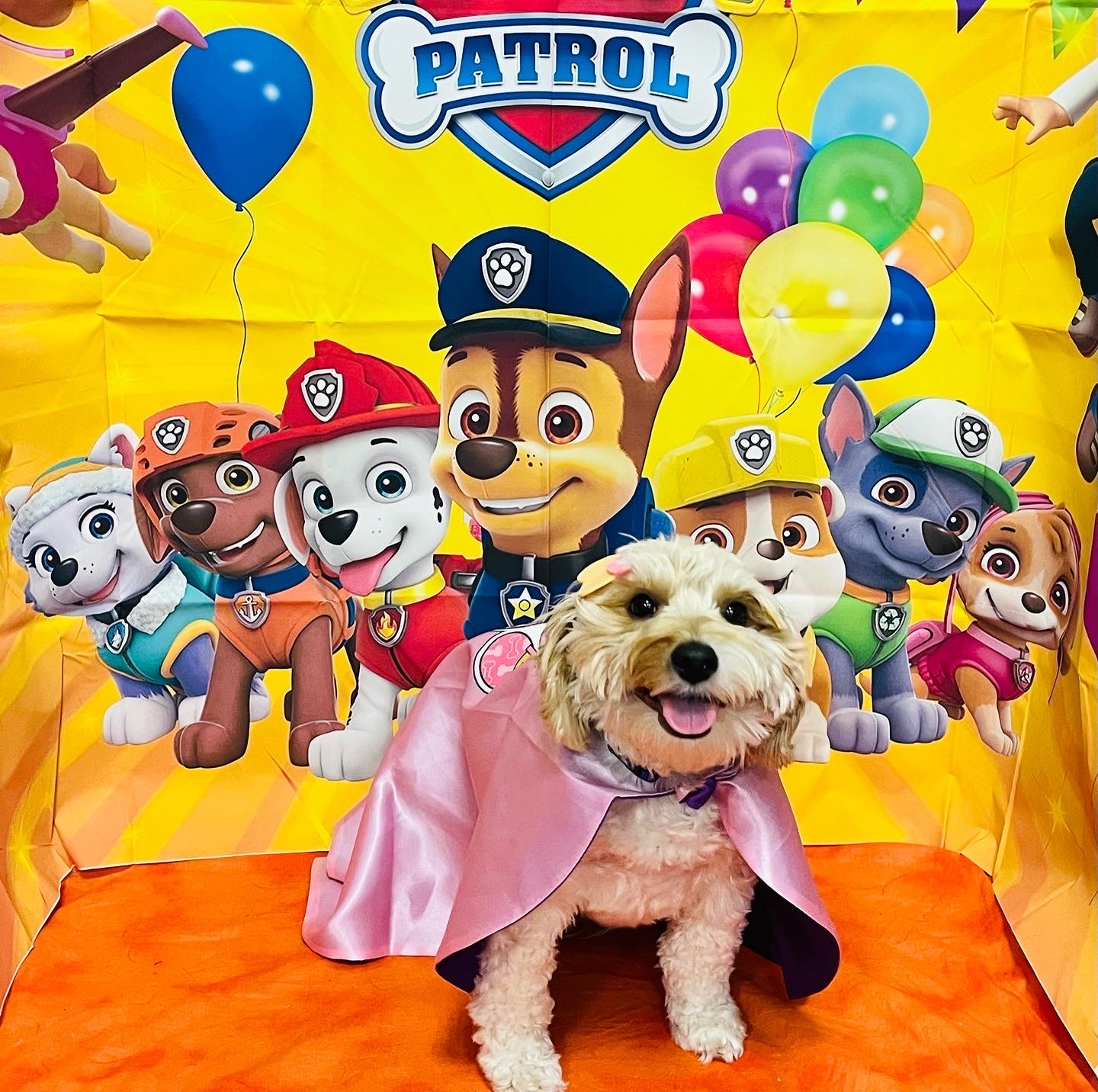 Halloween Costume Contest! Huntsville Madison