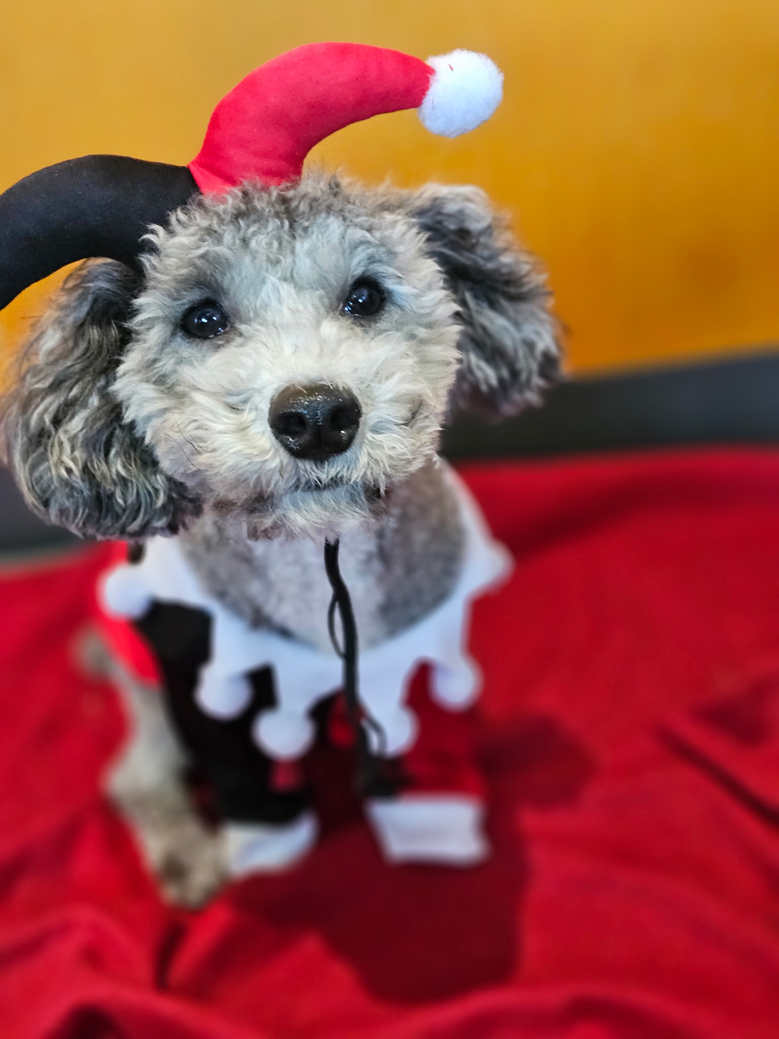 costume 